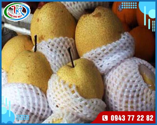 Mút xốp bọc trái cây (2)